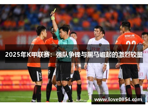 2025年K甲联赛：强队争锋与黑马崛起的激烈较量