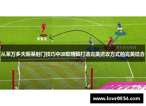 从莱万多夫斯基射门技巧中汲取精髓打造完美进攻方式的完美结合