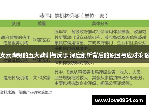 支云降级的五大教训与反思 深度剖析背后的原因与应对策略