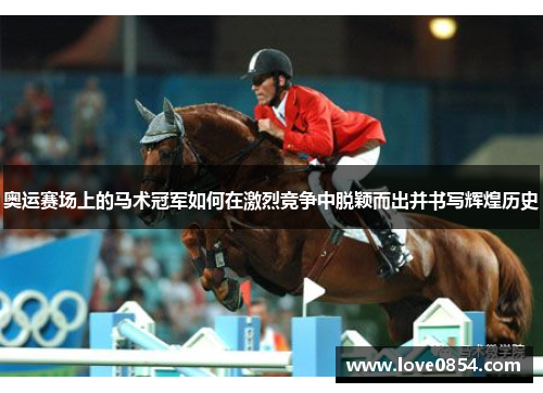 奥运赛场上的马术冠军如何在激烈竞争中脱颖而出并书写辉煌历史