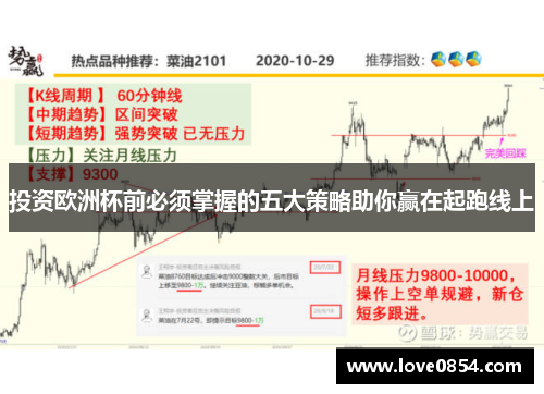 投资欧洲杯前必须掌握的五大策略助你赢在起跑线上